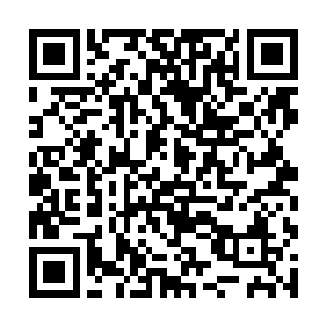 就是因为红戈落雨本身就是红戈家族未来的家主人选二维码生成