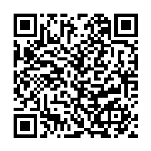 就是因为范子衿这脾气秉性都太像他们的舅舅和姑父了二维码生成