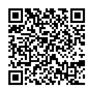 就是因为这里的草甸上生满了龙骧马最喜欢吃的霜草二维码生成