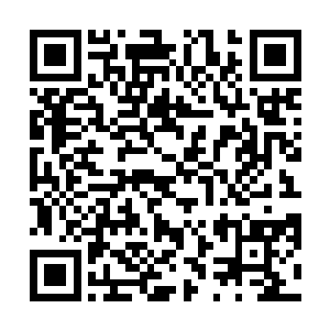 就是因为那一刻唐劫的灭魔拳让这道残魂感受到了威胁二维码生成