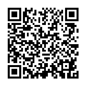 就是因为那五个龙魂被自己和四个大乘期修士收取的原因二维码生成