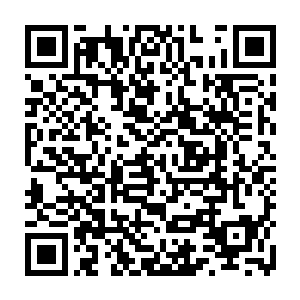 就是因老祭司而对他有所怨言的黑原族人也无法对这样一位祭司表示不满二维码生成