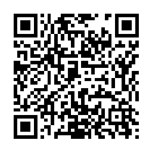 就是在坐的那些已经拥有很高威望的专家都望而却步了二维码生成