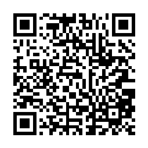 就是在她洁白的后背上留下了一条长达二十四公分的浅褐色伤疤二维码生成