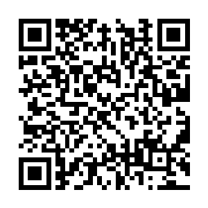 就是在这四十九天之内利用小鼎找到回现代的方法二维码生成