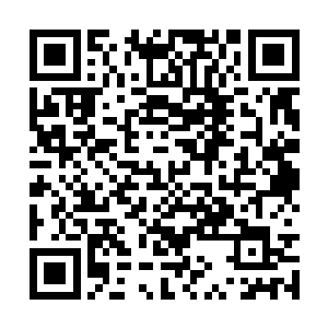 就是在面对四大乘的时候也没有摆出如此低的姿态二维码生成