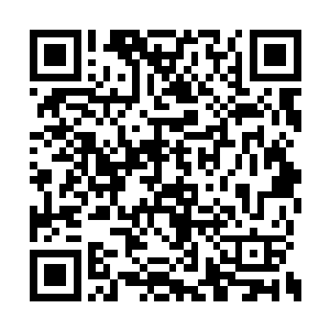 就是地下城中发生的那一幕幕惊心动魄的事件了二维码生成