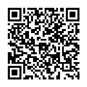 就是城外那些恐怖的变异巨鼠都能轻易放到的剧毒二维码生成