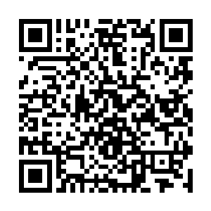 就是塞了多少红包给那些个聚拢到fz市的外地记者二维码生成