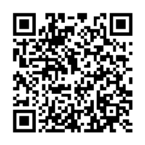 就是墨夙云是墨景黎的老子他们也不会眨一下眼睛二维码生成