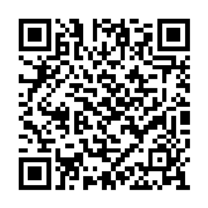 就是天蓝色的伊布拉希莫维奇周围全是一片白色二维码生成