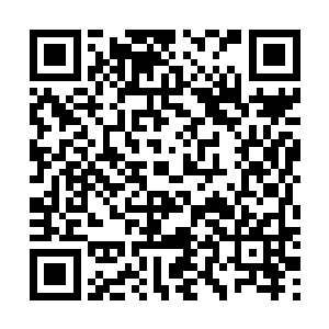 就是她的两位好姐妹――梁佳佳和李依琳一直在说个不停二维码生成