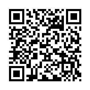 就是好好检测一下我的这个九五至尊仙窍了二维码生成