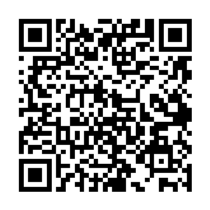 就是孙子轩人生当中最为关键的时刻了――闯登仙路二维码生成