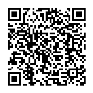 就是完整至少是相对完整的捕获美国人的f－22战斗机和曙光女神战略侦察机二维码生成