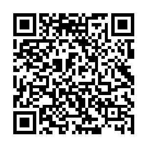 就是对你们人族大举动兵之时我劝你还是把我给放了二维码生成