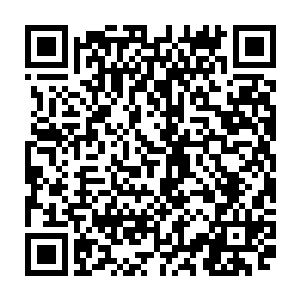 就是将和寿县主收买地痞流氓在宫变当晚潜入国公府烧杀抢掠的事宣扬出去二维码生成