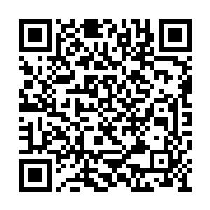 就是将界张开的威力也没有达到原来的百分之一二维码生成