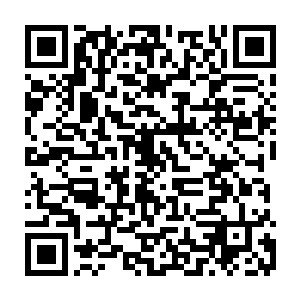 就是小树给他带来有着超级抗打击能力的强悍身体和身体的超级的恢复能力二维码生成