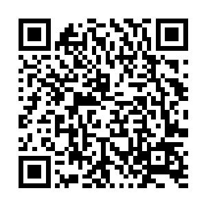 就是尽可能杀光那上万为大阵提供力量的神级黑暗精灵二维码生成