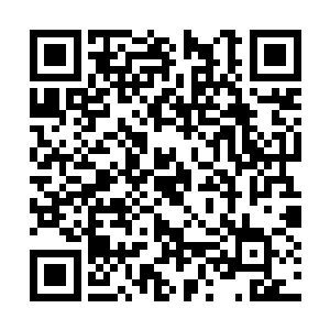 就是布兰登无意中插掉一个木乃伊皇家守卫的脑袋二维码生成