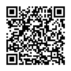 就是带着他的手里掌握的这些得要的数据和资料二维码生成