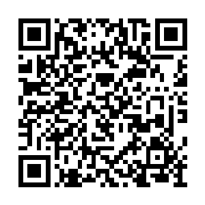 就是帮助蛊仙数清楚目标身上的道痕数目和种类二维码生成
