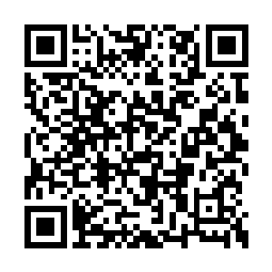 就是引动武魂山的力量连接外界天地的关键之物二维码生成