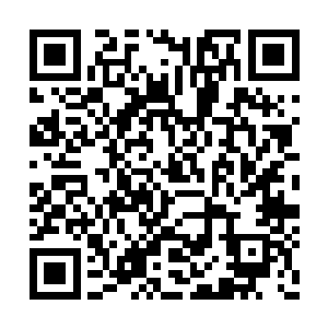 就是张潇晗自身得到了两套完全不同的生长模式二维码生成