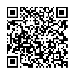 就是当初害得杨知州惨死牢狱杨家其他人死于非命的罪魁祸首二维码生成