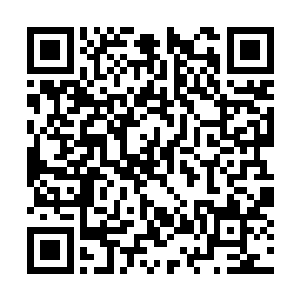 就是当年把我亲妈杨帆抛弃的那个男人现在回来了二维码生成