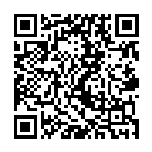就是当遭遇魔潮的月轮之都传来的战绩还不算太烂的时候二维码生成