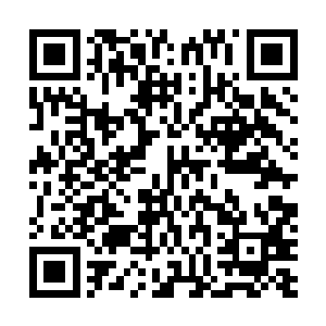 就是怕杨开在获得权力的同时会发生什么意想不到的变化二维码生成