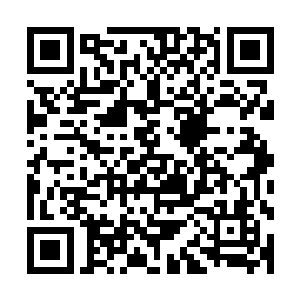 就是怕这些死者的家属会做出一些不理解的举动伤害到秦先生二维码生成