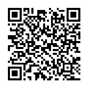 就是想动动这个每年吞噬几千万贯数字的巨大黑洞二维码生成