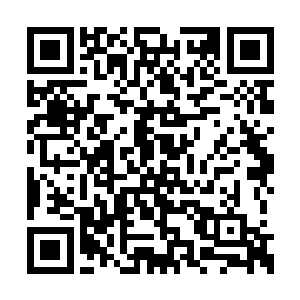 就是想看看碧落关这个杨开是不是他认识的那个二维码生成