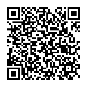 就是想要看看这些王家真正弟子手中是否有对自己伤势恢复有用的灵物二维码生成