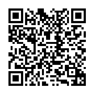 就是想要给有角人找一个天长日久朝夕相伴的敌人二维码生成