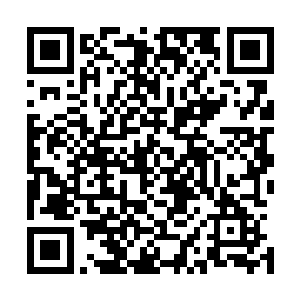 就是感觉在危险来临时自己的身体反应速度能够突然间加快二维码生成