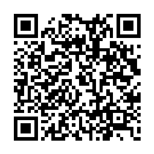 就是我们万剑锋的新进弟子也愿意尊你为许师姐二维码生成