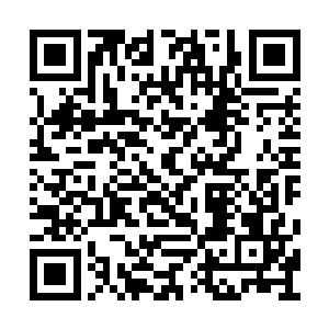 就是我们人族真的想要将他们赶走到北寒山以北二维码生成