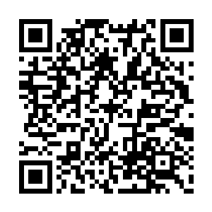 就是我们姐妹几个与阿珩那也是真心实意地交好二维码生成