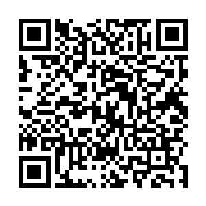 就是我发现公司里的同事大部分都不怎么愿意搭理新人二维码生成