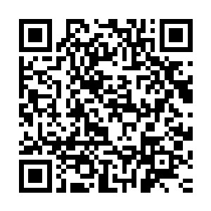 就是我拼尽全力也未必真在能够斩杀一个普通的地尊后期巅峰二维码生成