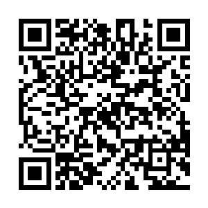 就是手掌那么大点的鱼也得把鳞弄赶紧再把内脏弄干净二维码生成