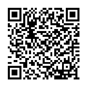 就是把那面怎么看都不顺眼的镜子一屁股坐碎了二维码生成