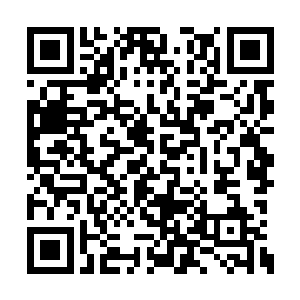 就是拓星芒释放的金色长河都被轰塌了三分之一二维码生成