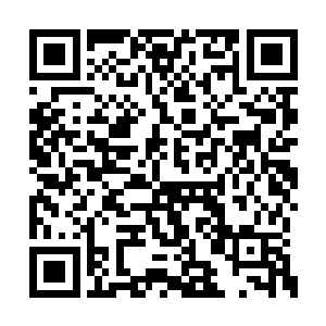 就是挑剔而不服输的玛格丽特也承认蕾妮的出色二维码生成