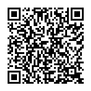 就是接任者必须找到一个具有罗伊家族正宗血统的人來接任下一任国王二维码生成