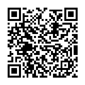 就是摆出了要将自己的项目全部撤出梨花村的架势二维码生成